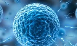 2026全国十佳助孕公司名单，每家都各有特点和优势