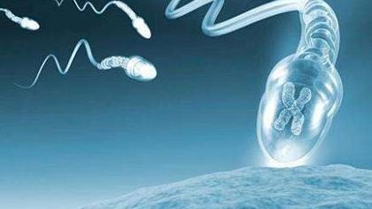 2026南昌助孕优选机构盘点：南昌试管助孕专家助力您轻松实现生育梦想