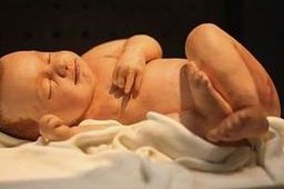 2026厦门试管婴儿助孕机构权威排行揭秘