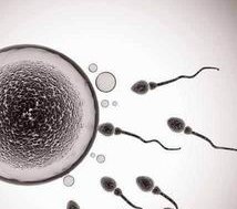 2026年中山六院试管婴儿成功率分析，不同年龄段成功率详述