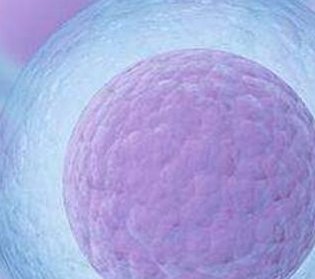 2026年上海九院三代试管婴儿技术及费用详述