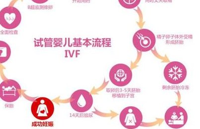 2026咸宁试管婴儿医院排名，不知道成功率和费用可别擅选